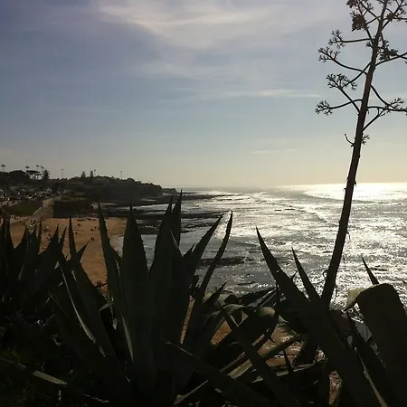 Beach Warehouse S.pedro Daire *